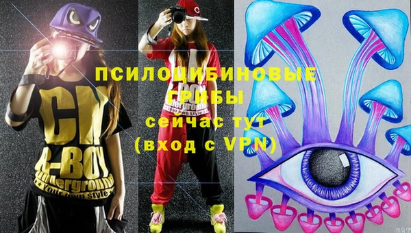 кокс Покачи